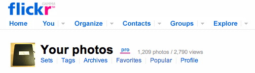 Flickr UI